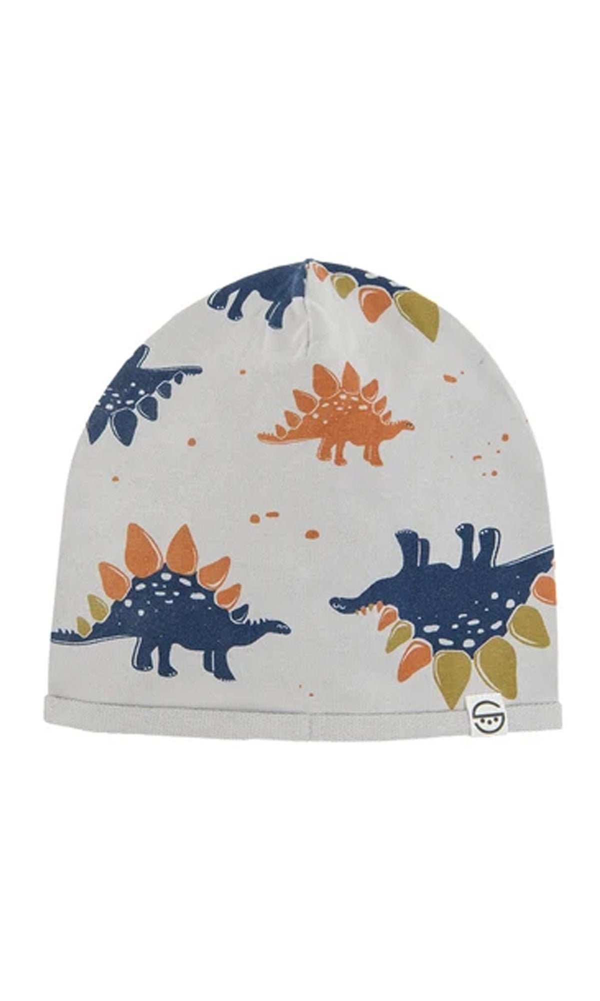 Boys Cap Multi Color