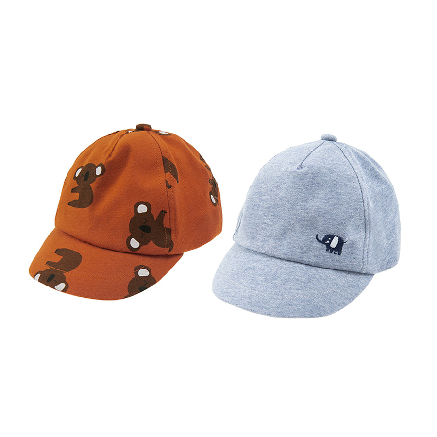 Boy's Cap Set 2 Pcs CC CAB2401212