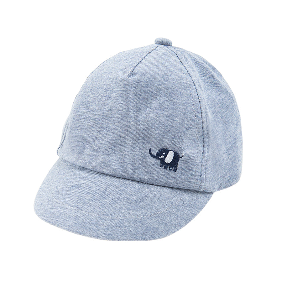 Boy's Cap Set 2 Pcs CC CAB2401212