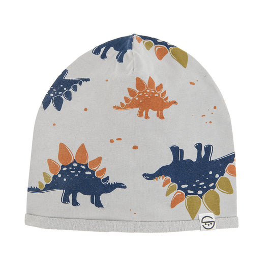 Boys Cap Multi Color