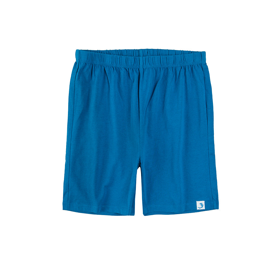 Boys 2 Pcs Suit sea Blue Color