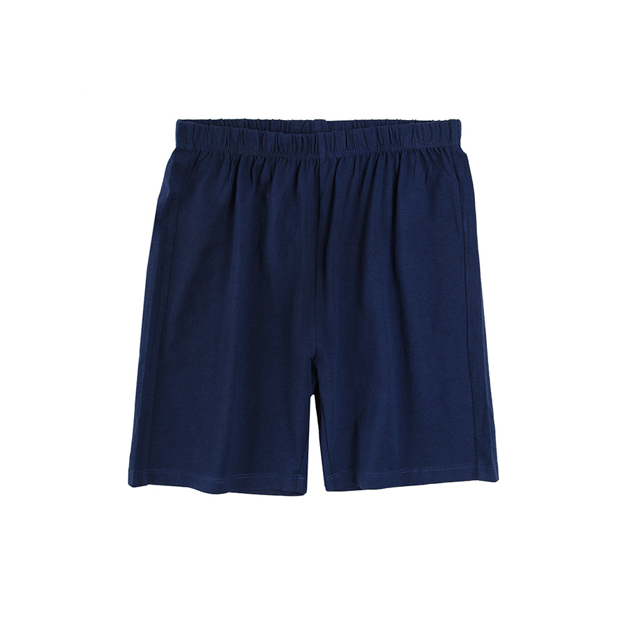 Boys 2 Pcs Suit Multi Color