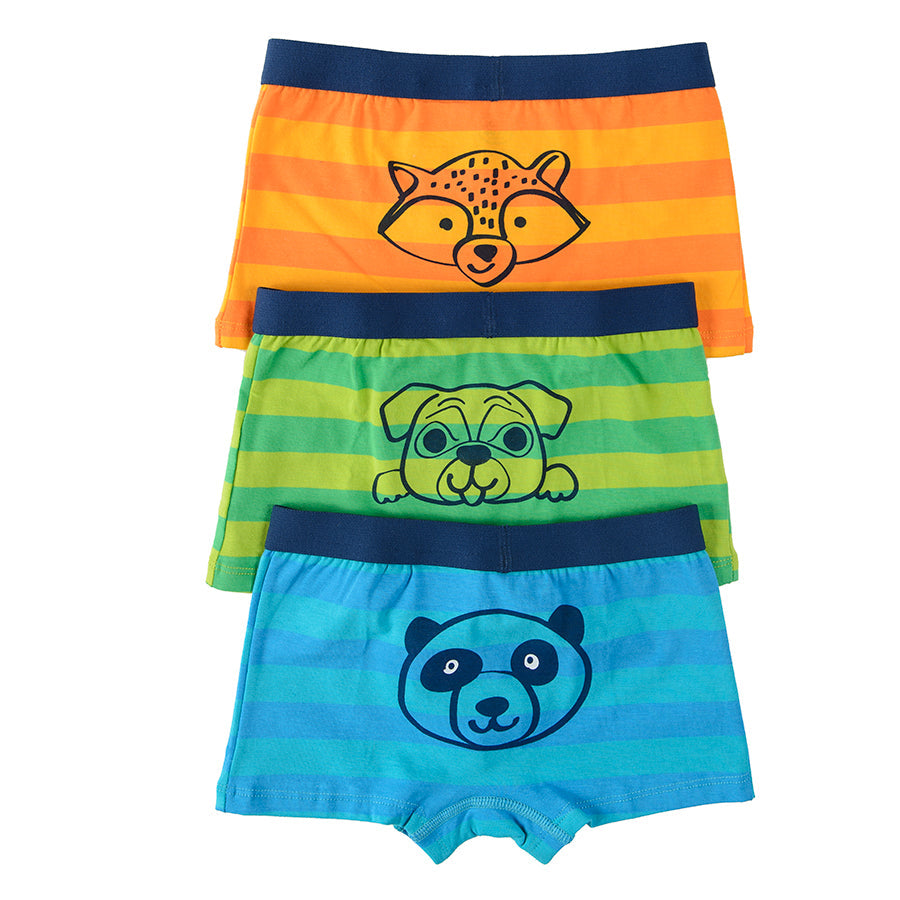 Boy's Boxer Briefs Mix Set 3 Pack