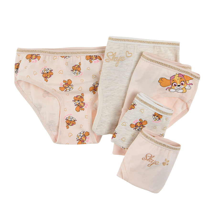 Briefs Girl's Panties Mix Set 5 Pcs