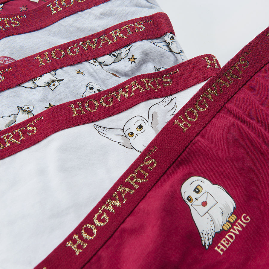 Girl's Panties Harry Potter Mix Set 5 Pcs