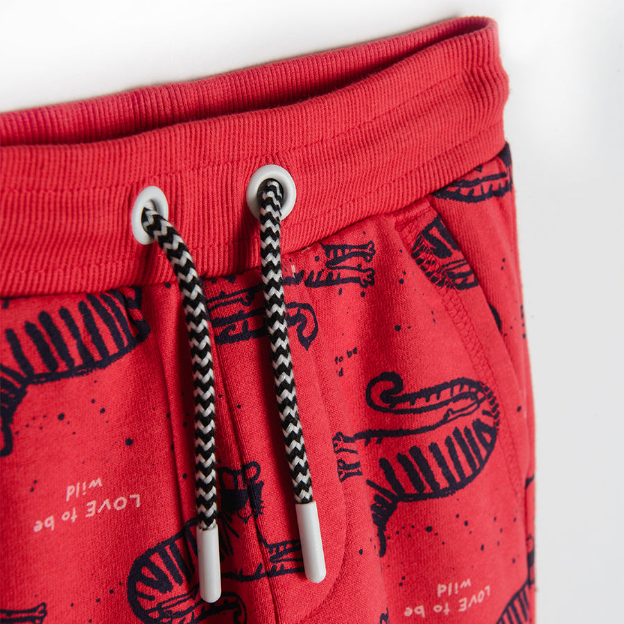 Boy's Trousers Red