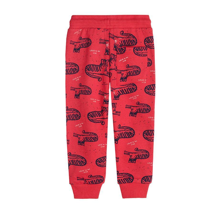 Boy's Trousers Red