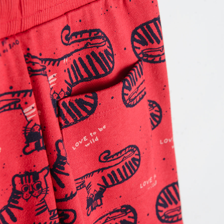 Boy's Trousers Red