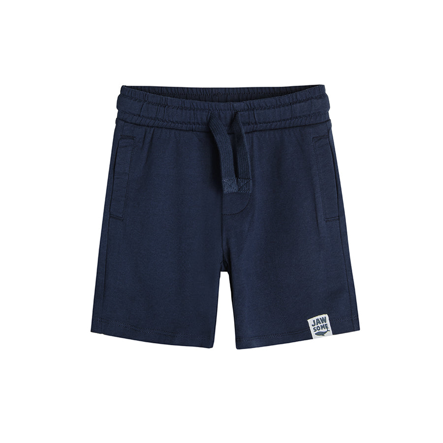 Boy's Shorts Mix Set 2 Pcs