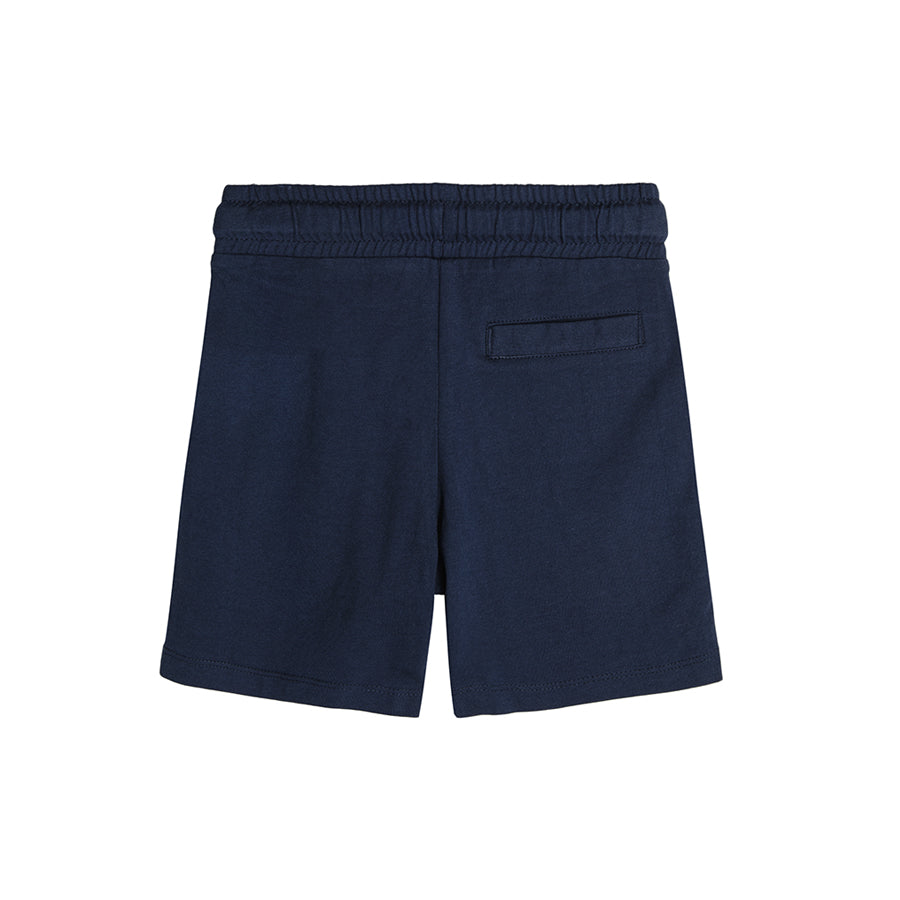 Boy's Shorts Mix Set 2 Pcs