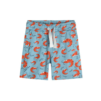 Boy's Shorts Mix Set 2 Pcs