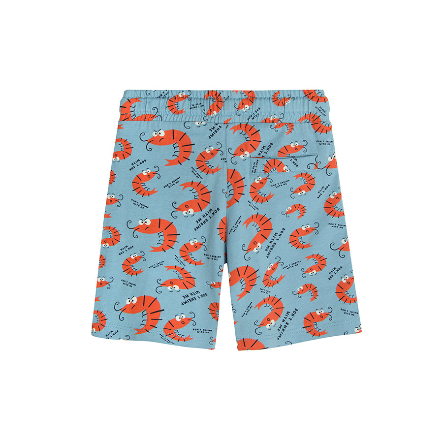 Boy's Shorts Mix Set 2 Pcs