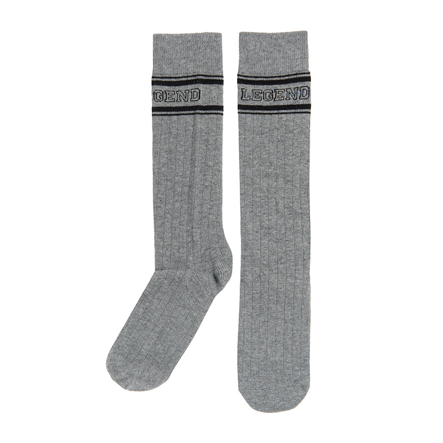 Boy's Socks Gray