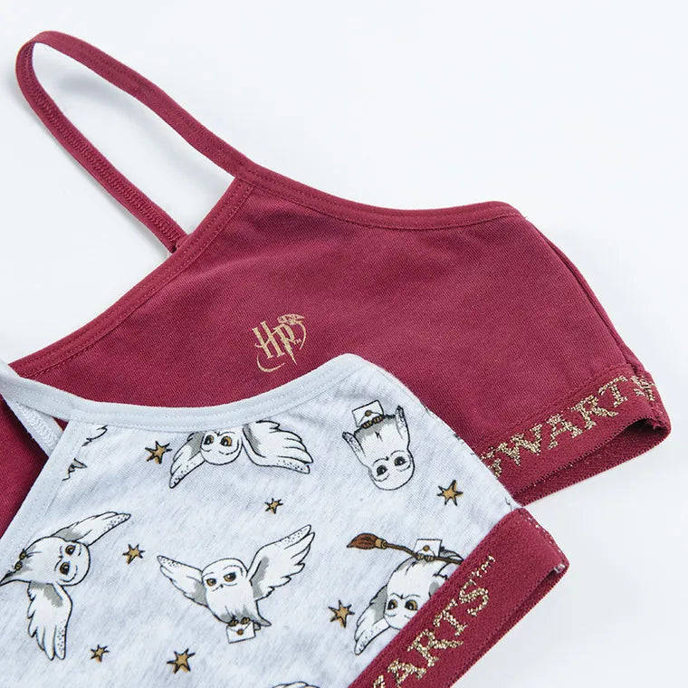 Girl's Bra Gray Burgundy Harry Potter Set of 2