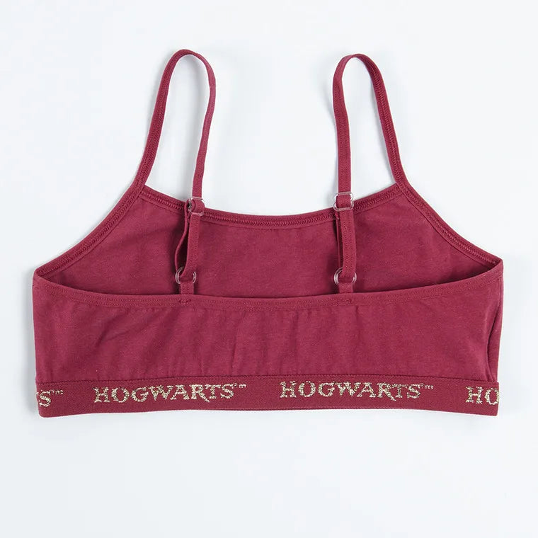 Girl's Bra Gray Burgundy Harry Potter Set of 2