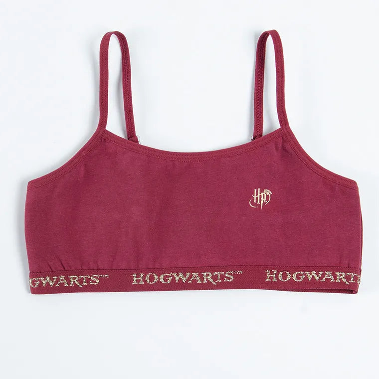 Girl's Bra Gray Burgundy Harry Potter Set of 2