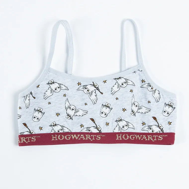 Girl's Bra Gray Burgundy Harry Potter Set of 2