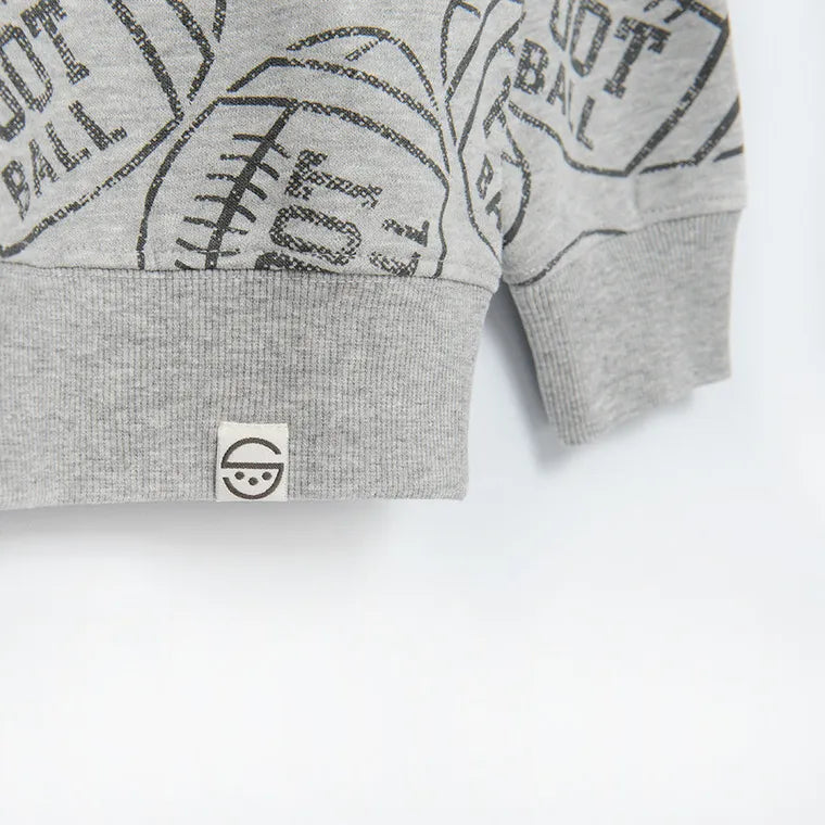 Boy's Sweatshirt Gray