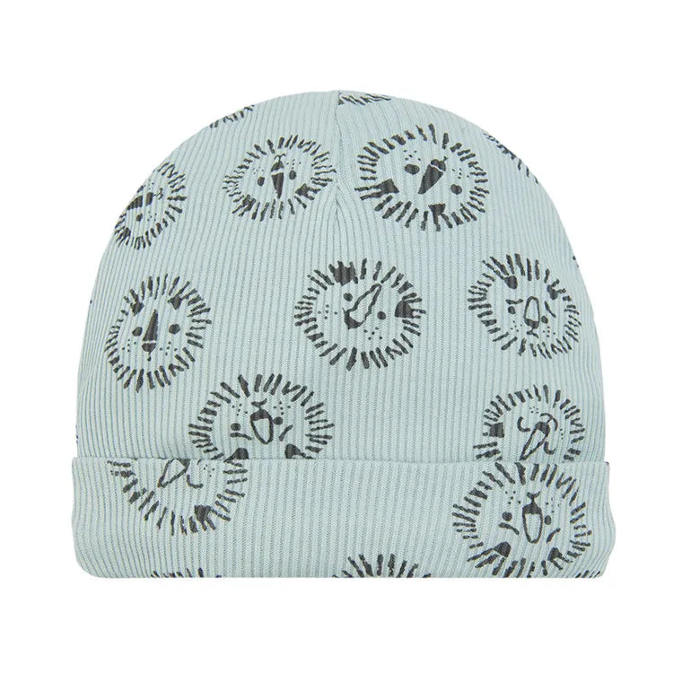 Boy's Cap Striped Sea Color CC CAB2500540