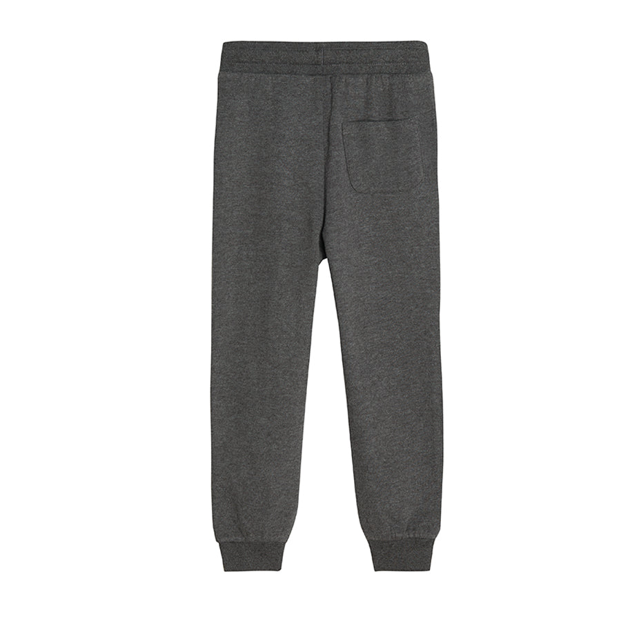 Boys' Sweat Pants Gray Melange Minecraft